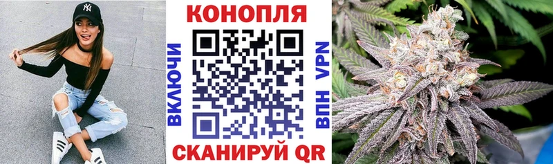 Где можно купить наркотики Реутов Cocaine  Alpha PVP  Бошки Шишки  ГАШИШ 