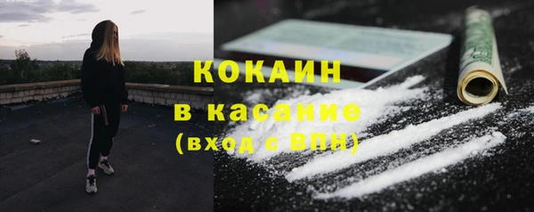 стафф Бородино