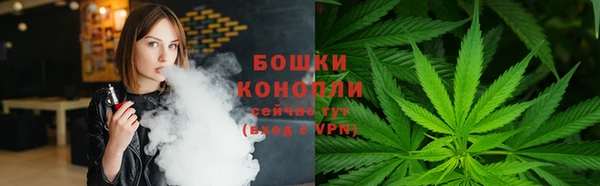 МДПВ Бронницы