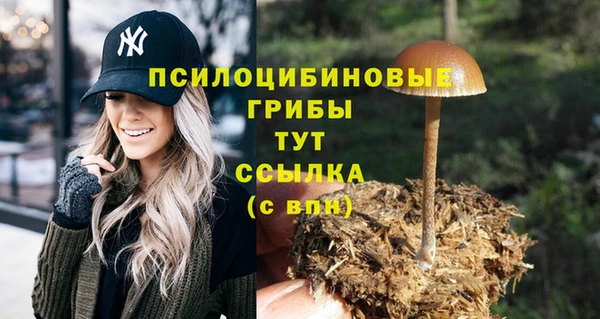 МДПВ Бронницы