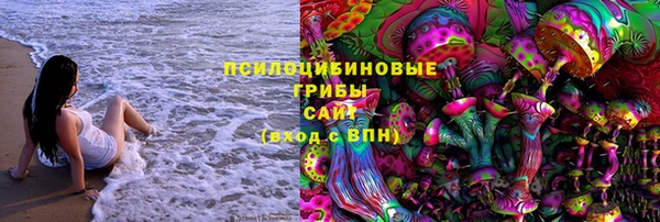 МДПВ Бронницы