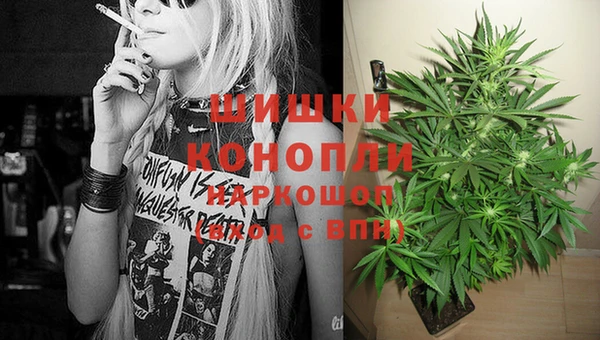 Альфа ПВП Бугульма