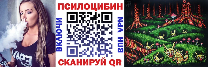 купить наркотик Реутов Псилоцибиновые грибы MAGIC MUSHROOMS